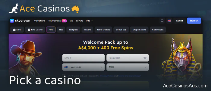 Go to the Visa Online Casinos website