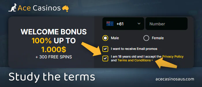 Check out Golden Crown Casino's terms and conditions for Aussie players