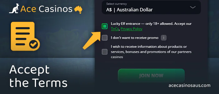 Agree to the terms and conditions at Lucky Elf Casino